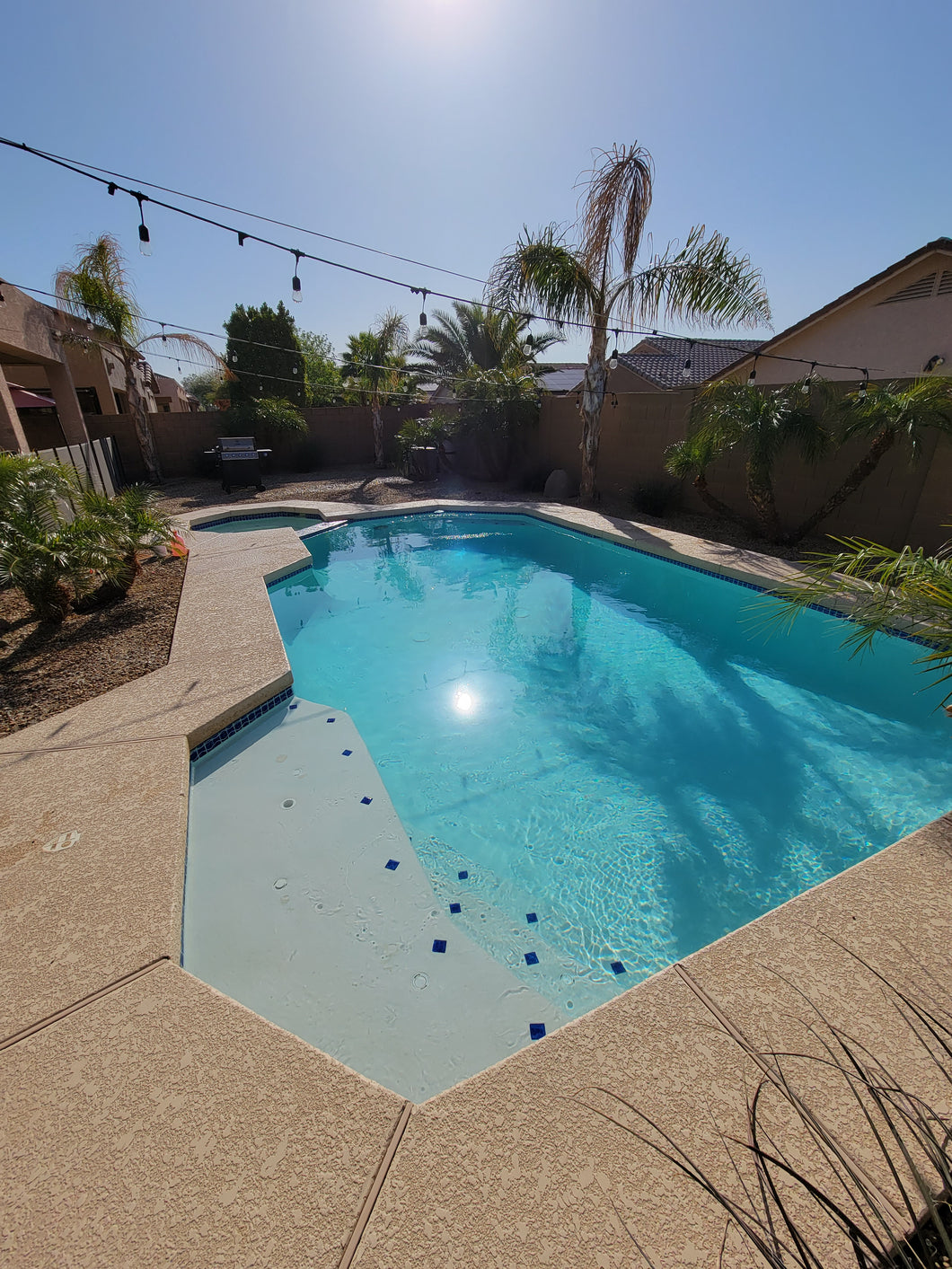 Pool Drain and Cartridge Filter Cleaning